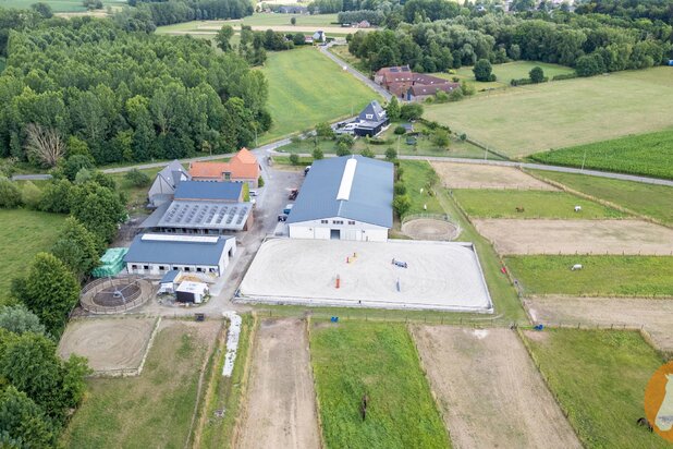 DILBEEK - Unieke paardeninfrastructuur op +-5,6ha