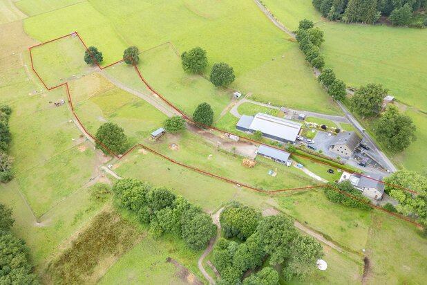 Equestrian property with 2 ha in Vielsalm