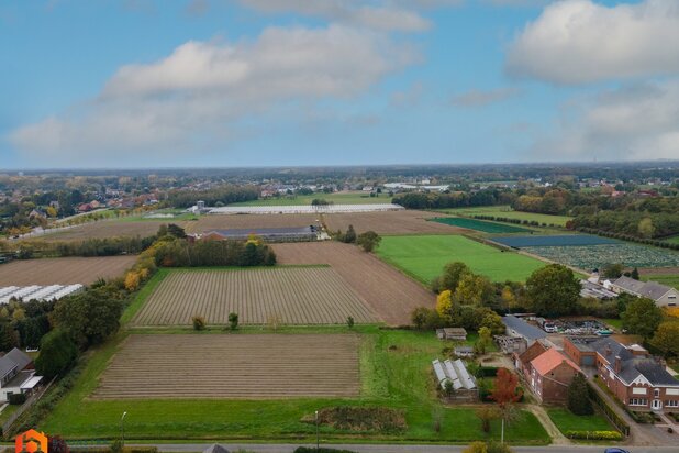 Landelijke woning met 5 slpkrs en bijgebouw op 1 ha te Putte
