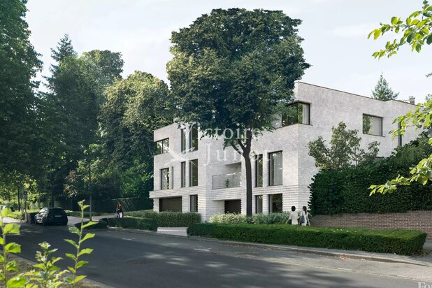 WSP : Birdsong House 3-Facade New