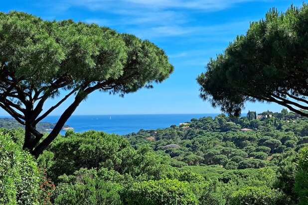 OFF MARKET — GIGARO