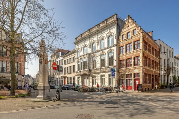 ANTWERPEN CENTRUM - Uitzonderlijk historisch ensemble