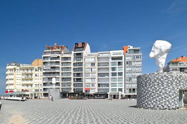 Zonnig appartement met zeezicht op het Rubensplein.