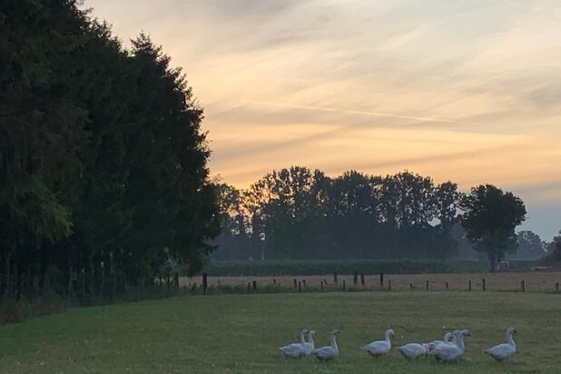 Uniek landeigendom gelegen in een oase van rust en natuur.