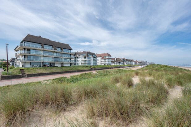 Ruim appartement met frontaal zeezicht op de wandeldijk