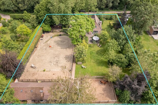 Karaktervolle villa met paardenaccommodatie op prachtig zuidwestgericht perceel in De Fazant te Wuustwezel
