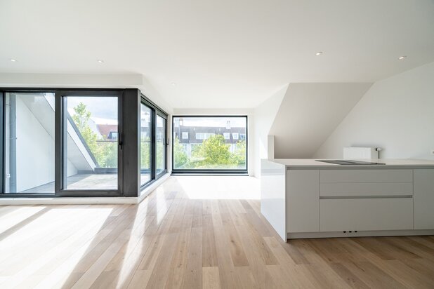 Duplex in a recently completely renovated building