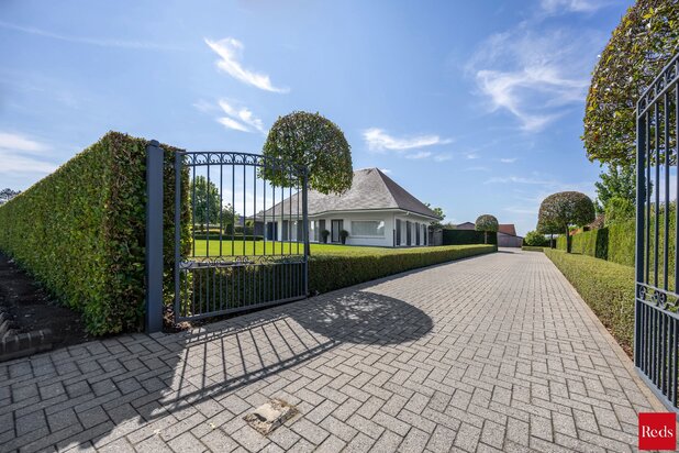 Villa met potentieel in Oostmalle en mogelijkheid tot aankoop achtergelegen weilanden