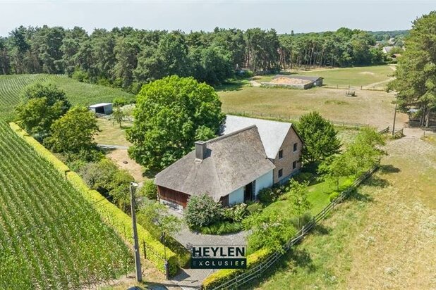 Prachtige hoeve op 21a30ca tussen de velden