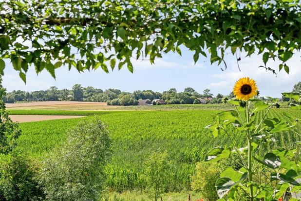 Charmant B&B avec habitation, bénéficiant d'une vue magnifique !