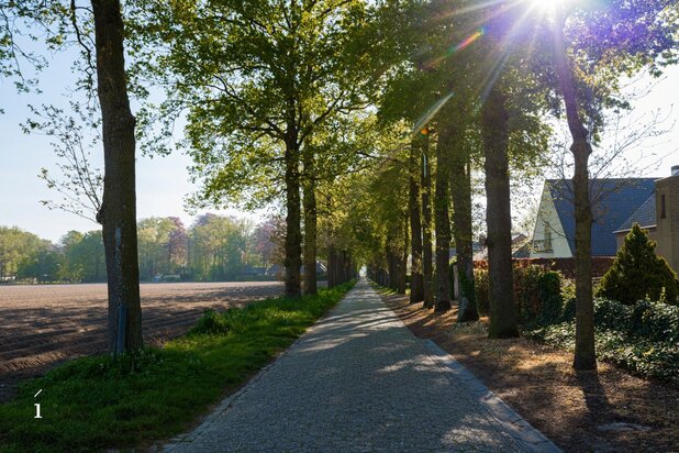 Hedendaagse woning met groen vergezicht