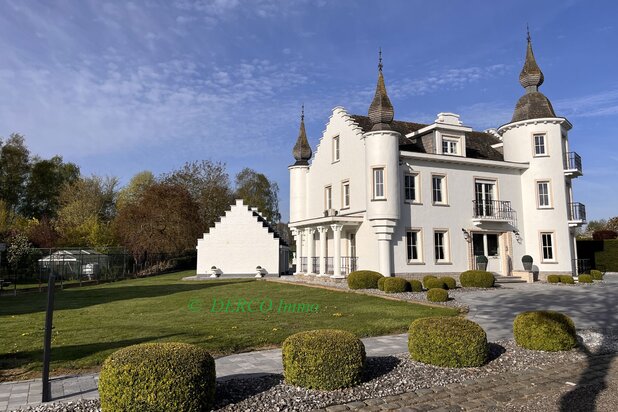 a STUNNING villa with a unique CHARM (currently a private residence + offices + granny flat)