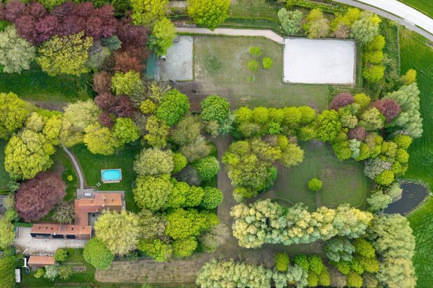 Domein op 4ha. met oprijlaan naar instapklaar landhuis