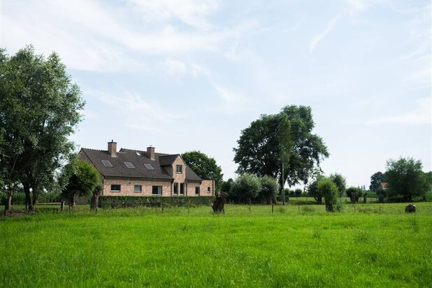 Hoeve