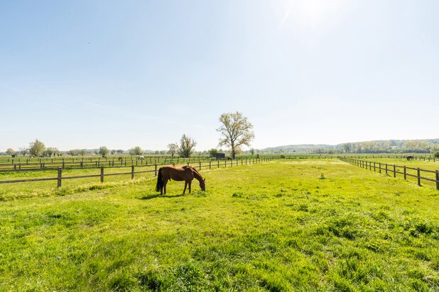 Hoeve Wortegem-Petegem