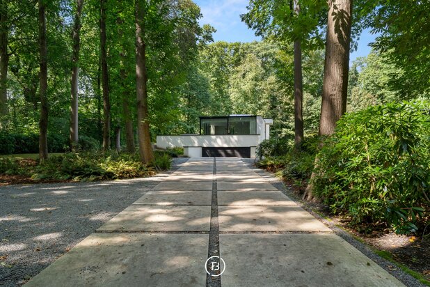 Moderne villa in het groen