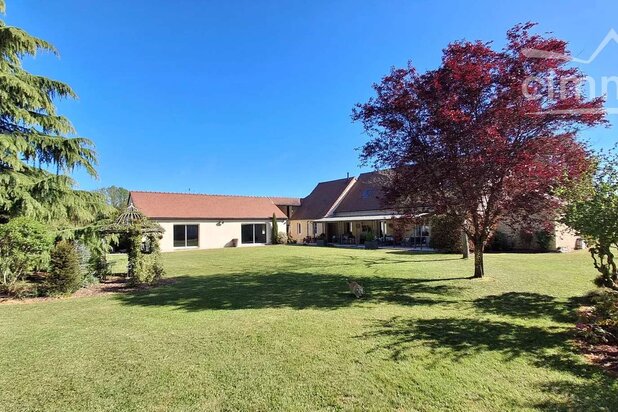 A Vendre à Muides sur Loire, Maison de standing 5 chambres + Piscine