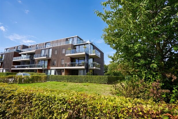 Verborgen dakparel: 165 m² met terrassen op elk lichtpunt