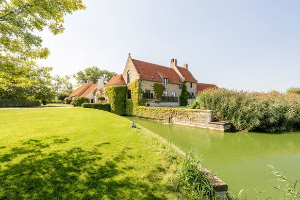 Propriété unique cachée dans la verdure