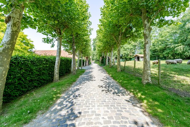 Zonnebeke