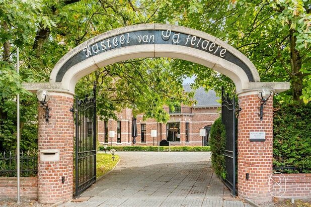 Kasteel van Zaffelare op 4,6 hectare