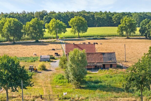 Te renoveren hoeve op idyllisch landelijk perceel