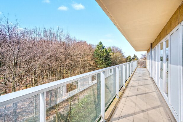 Roosevelt - appartement 276 m² - Terras ZUIDEN - 4 slpk
