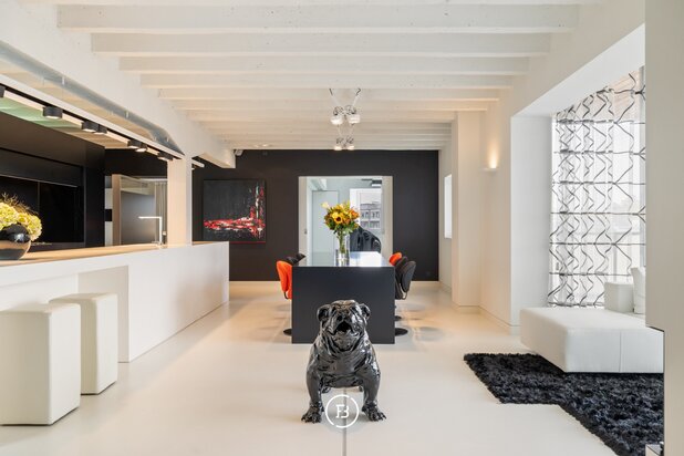 Loft architectural