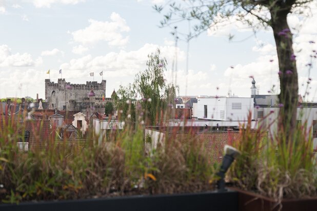 Stijlvol en lichtrijk appartement met uitzonderlijk terras in het historisch centrum van Gent.