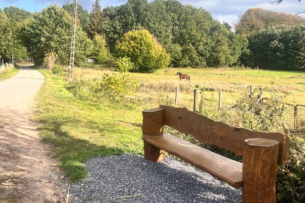BIERBEEK – grens Oud-Heverlee (vlakbij LEUVEN): charmante villa met paardenstallen op 2 ha (park / weide), UNIEKE ligging vlakbij MEERDAALBOS