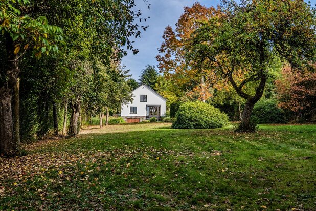 Villa met 5 slaapkamers in Gouvy