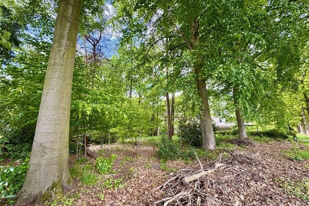 Uniek bouwperceel van maar liefst 4.456 m² in Brasschaat