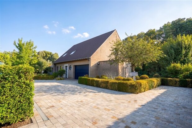 A spacious villa, a huge garden, and a magnificent pool with a pool house
