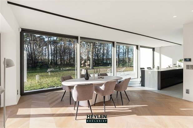 Newly renovated villa