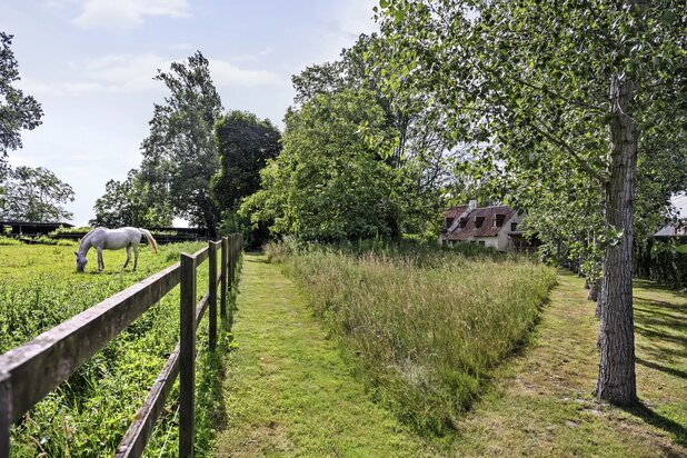 Exclusieve landelijke villa met paardenaccommodatie op ca 1,6ha
