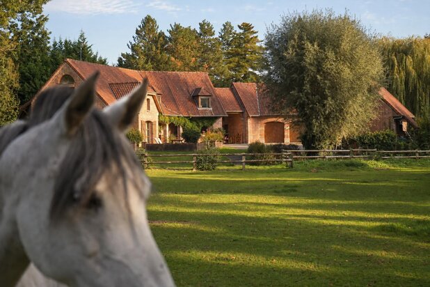 Equestrian Property with Pool in Condé-sur-l’Escaut