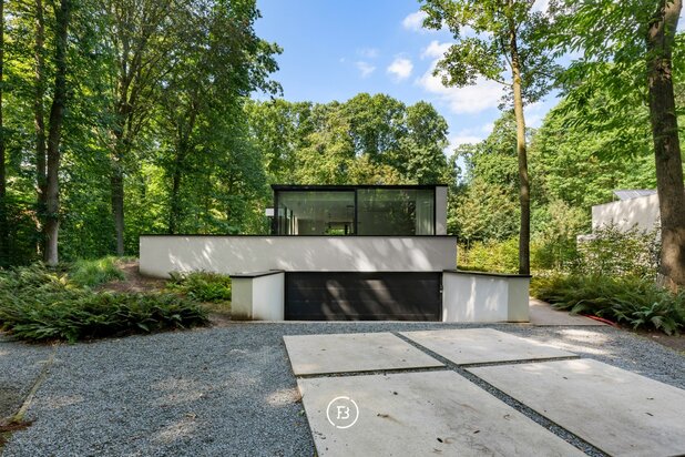 Moderne villa in het groen