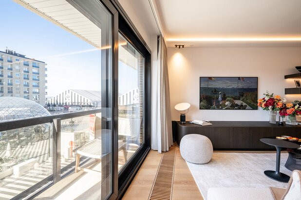 Appartement rénové - Place Albert 