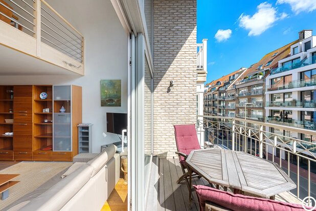Appartement mezzanine lumineux 3 ch en situation top